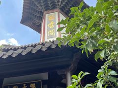 -上海佘山国家森林公园天马山园