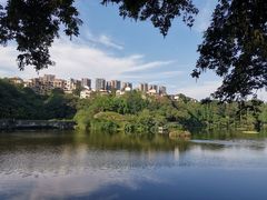 -重庆彩云湖湿地公园