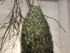 -东方之珠洗浴休闲广场(南开店)