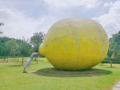 -顺峰山公园