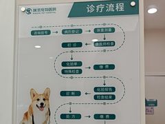 -瑞派康怡24h宠物医院·犬猫医疗中心·微创绝育(瑞景分院)