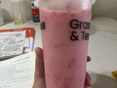 多肉西瓜椰椰-书亦烧仙草(武侯五大花园店)