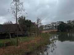 -芒洲湿地公园