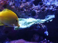 -暹罗海洋世界