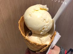 葡萄朗姆酒品脱-哈根达斯(钟楼新店)