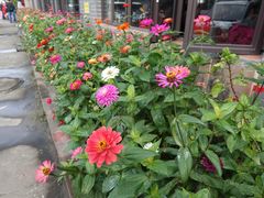 -水乡人家私房菜(逢简店)