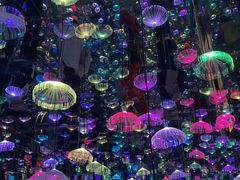 -梵高星空艺术馆(北京旗舰店)