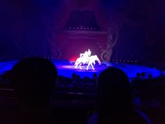 -珠海横琴长隆《卡卡虎奇遇记》