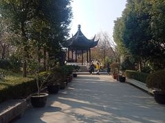 -枫桥景区