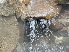 -明月山天沐温泉度假村