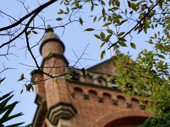 -上海佘山国家森林公园西佘山园