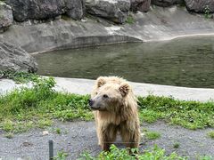 -宁波野生动物园