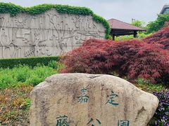 -嘉定紫藤园