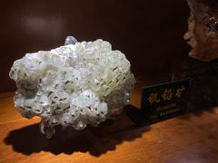 -青岛德国总督楼旧址博物馆