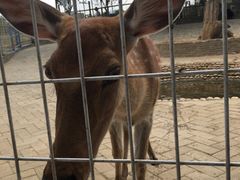 -武汉紫薇都市田园