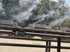 -野象谷景区