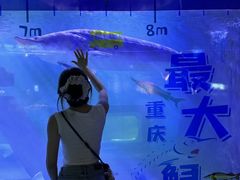 -重庆欢乐海底世界