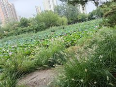 -南翠屏公园