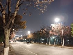 -江南大学(蠡湖校区)