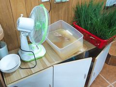 -宜宾燃面(汉渝路店)