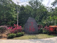 -七仙岭温泉国家森林公园