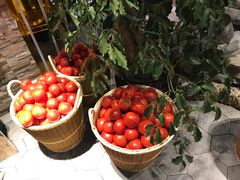 -蕃茄述·好汤自然来(江汉路店)