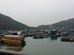 -南丫岛