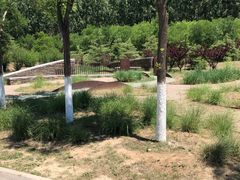 -东郊湿地公园