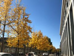 -老山记海城馅饼大酒店(振兴小区店)