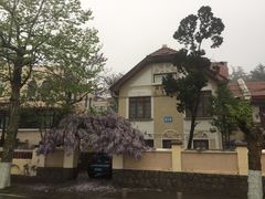 -八大关景区
