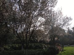 -荆川公园