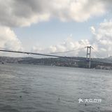 游船快靠岸时就可以看到这座博斯普鲁斯大桥通常指196