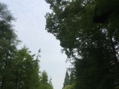 -乌村