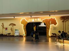 -厦门诚毅自然探索馆