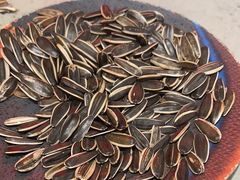 -破瓦寒窑·地摊烤羊排