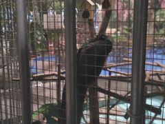 -沐泷泉(南风大剧院店)