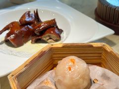-陶陶居酒家(SM二期购物广场店)
