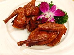 -沙龙酒家