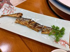 烤秋刀鱼-青瓦餐厅·生鱼片·韩园烤肉(西塔店)