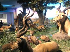 -国家自然博物馆