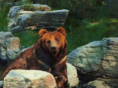 -北京野生动物园