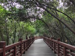 -紫金山山顶公园