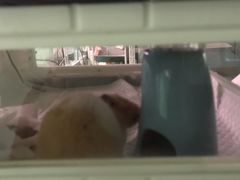 -雨林宠物医院 非犬猫异宠专科