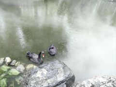 -天毓山庄·餐厅