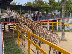 -西霞口神雕山野生动物世界