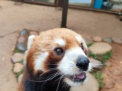 -云南野生动物园
