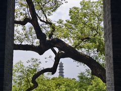 -江心屿景区