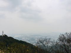 景点-紫金山山顶公园