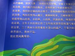 -贵凤凰贵州米粉(望京店)
