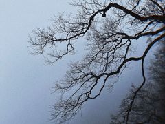 -张家界天门山国家森林公园